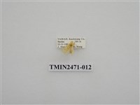 藏品(鉤弧紋豔苔蛾)的圖片